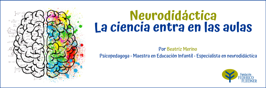 Neurodidáctica: la ciencia entra en las aulas